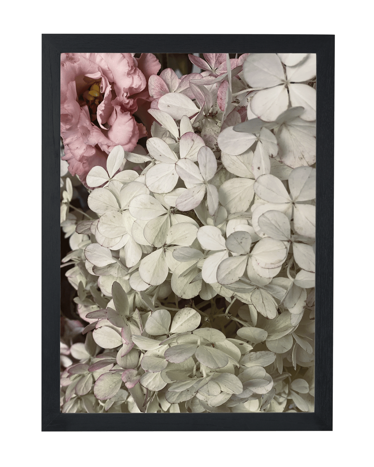 Floral Textures No. 1