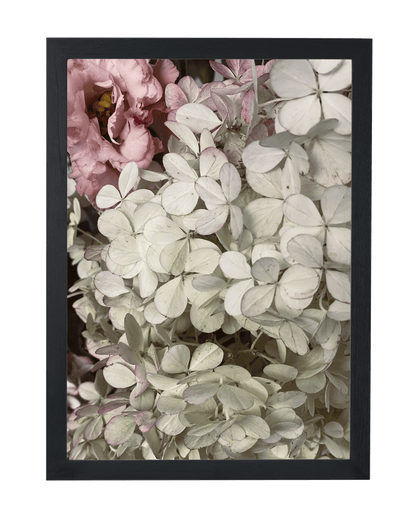 Floral Textures No. 1